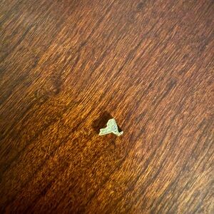 NWOT Origami Owl New York State Charm